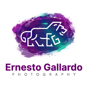 logo gallardo photography